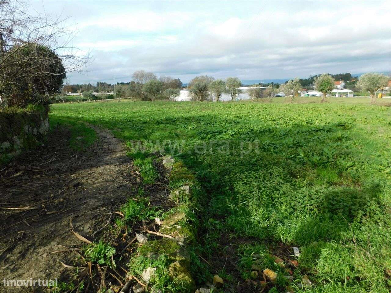 Terreno / Gouveia, Gouveia - Grande imagem: 3/16