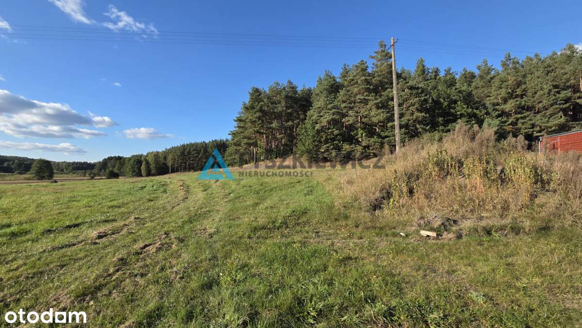 Działka budowlana 1278 m² – Dąbki k. Bytowa - Pełny obrazek: 5/17