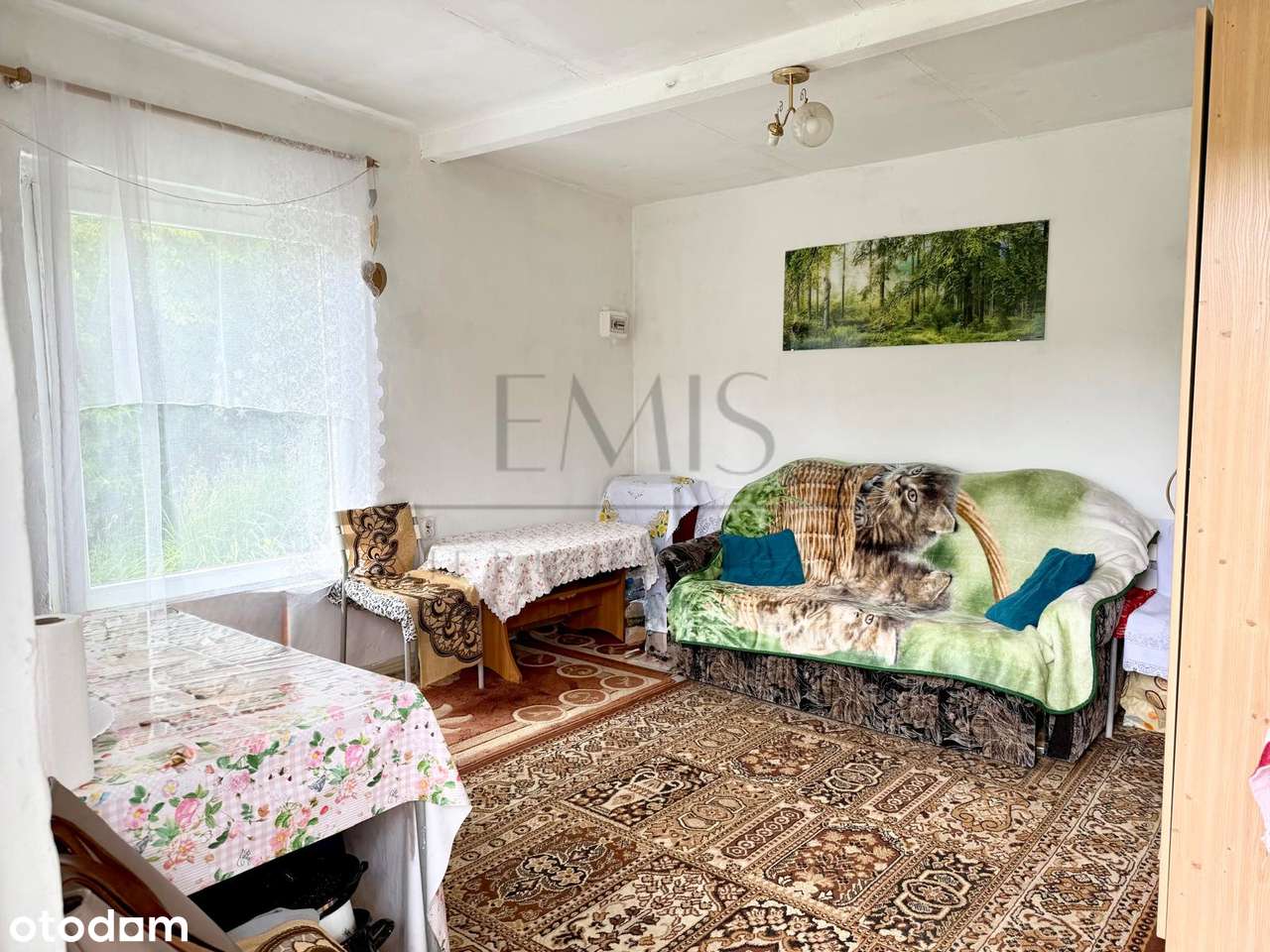 Działka ROD Zielony z domkiem, zadbana-7