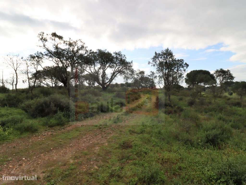 TERRENO COM 5.5HA ALCOCHETE-9