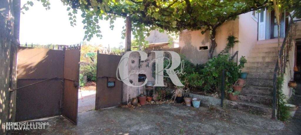 Moradia rustica T2 com adega, terreno, terraços e latada - Grande imagem: 4/60