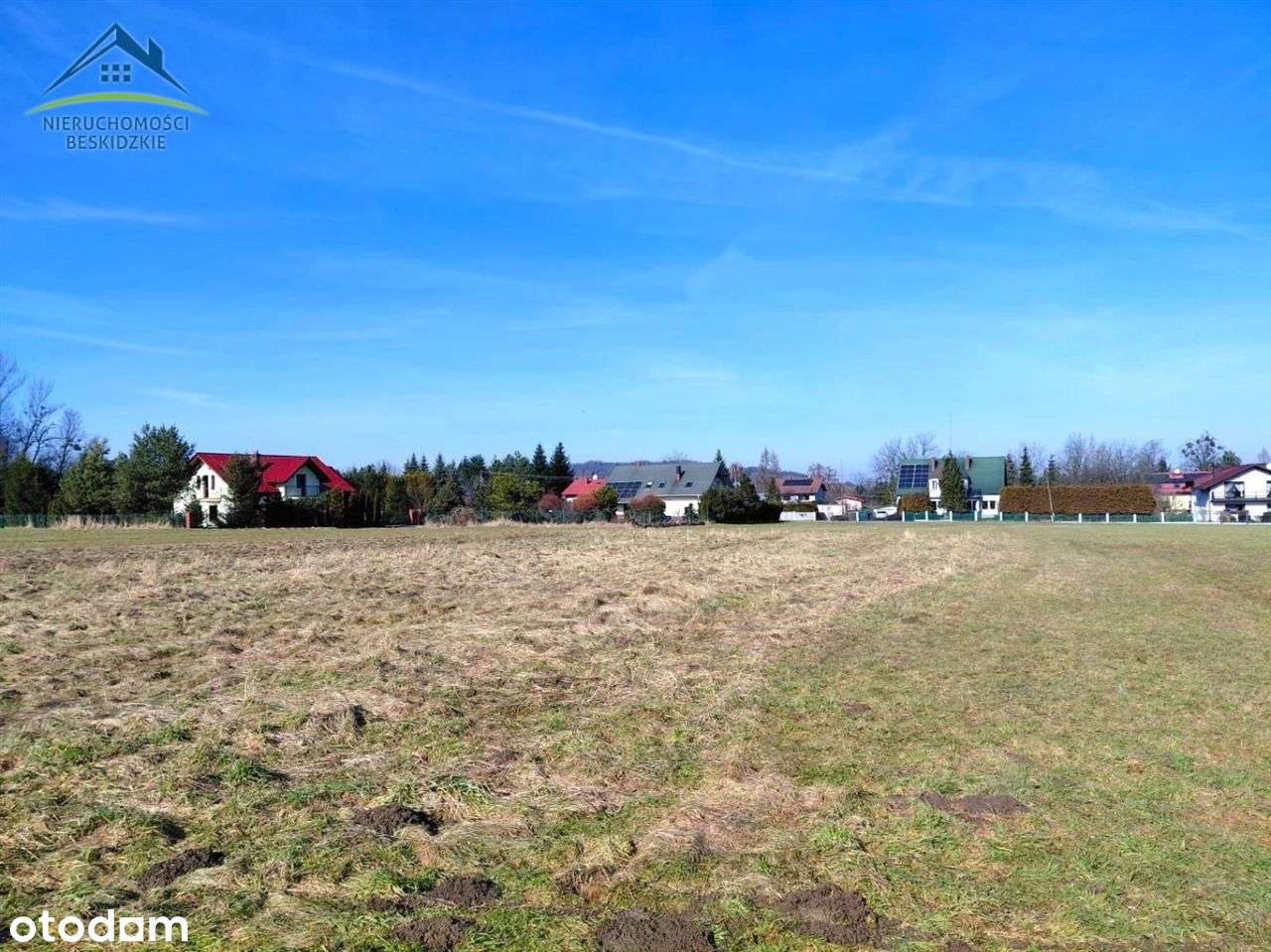 Cisownica k/Ustronia ... a wokół pola i las...-4