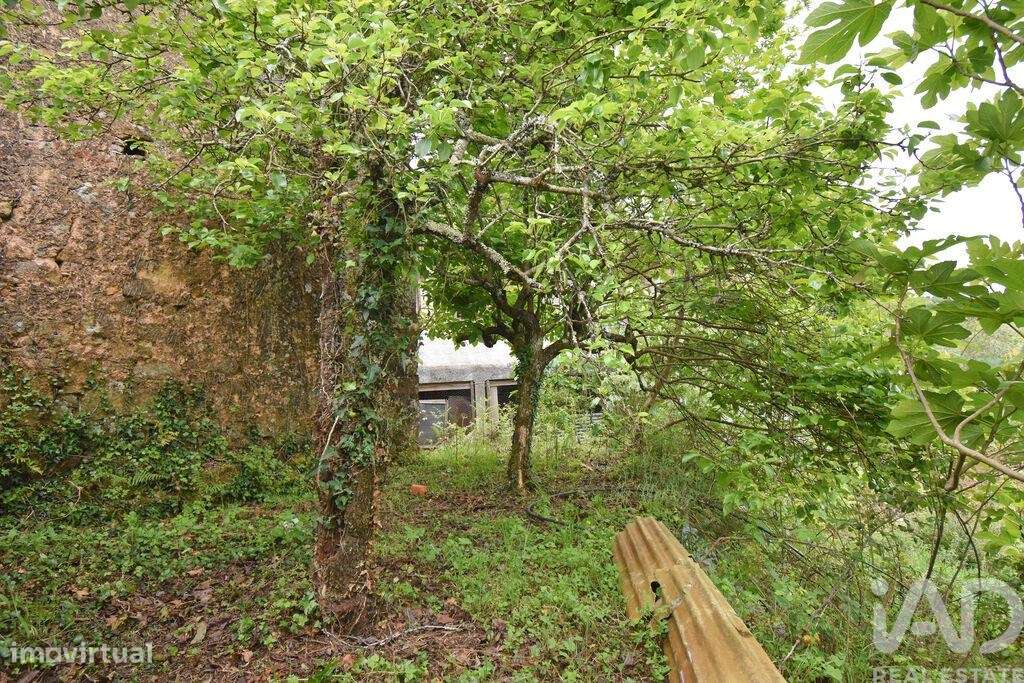 Casa de aldeia T4 em Vila Nova de 240,00 m2 - Grande imagem: 4/30