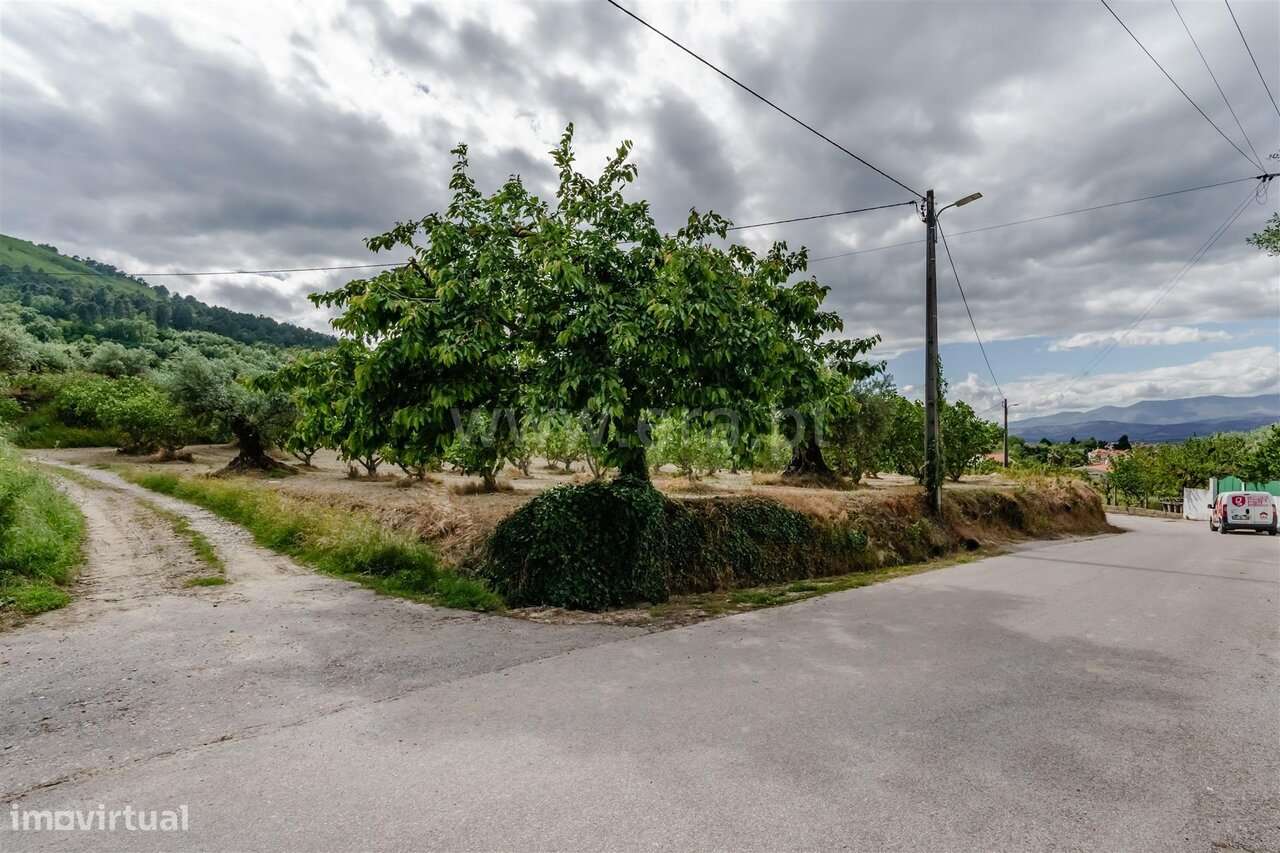 Terreno / Fundão, Fundão-8