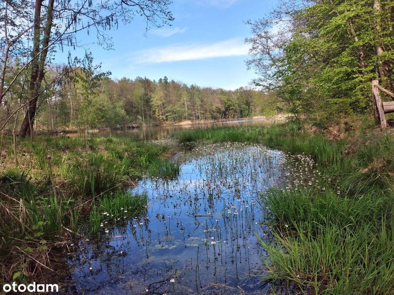 PROMOCJA - Działki budowlane nad jeziorem-15