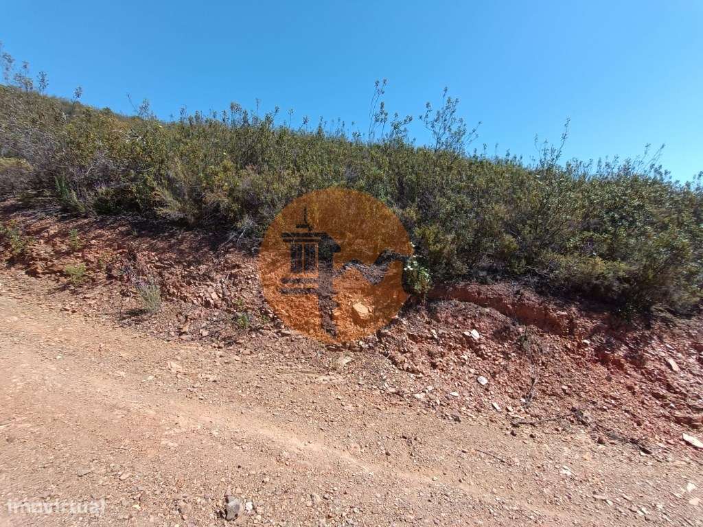 TERRENO RUSTICO COM 22.760 M2 - COM POÇO - EM BRENHOSA - ODELEITE -... - Grande imagem: 4/26