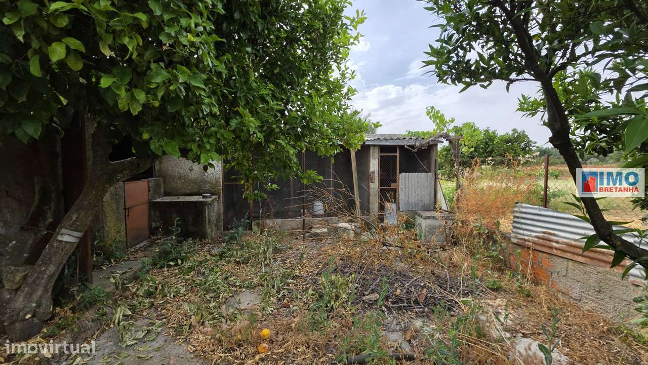 Quinta com garagem em Escalos de Cima-25