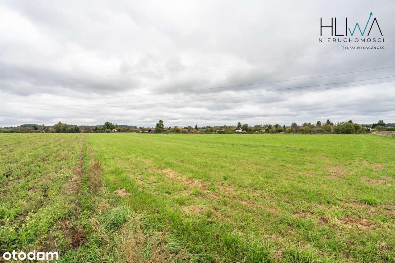 Działki rolne Gdynia Obłuże, powierzchnie od 3003 m2-4