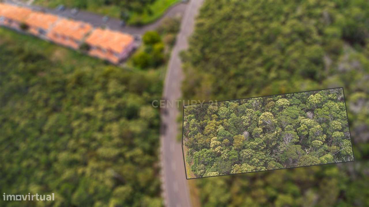 Terreno com 854m² e Potencial de Construção até 300m² - Grande imagem: 2/7