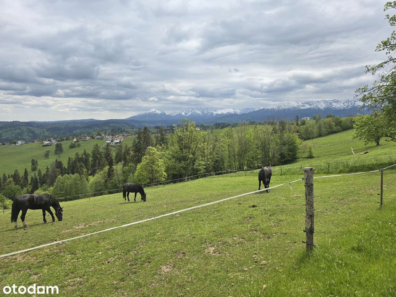 Widokowa  Działka budowlana - Pełny obrazek: 5/6