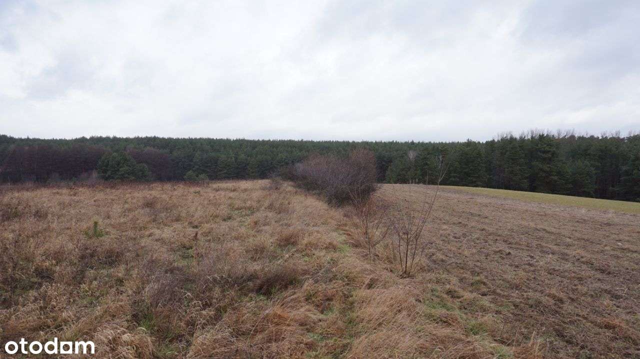 Działka Nr1 Przytok pozwolenie budowy - Pełny obrazek: 4/8