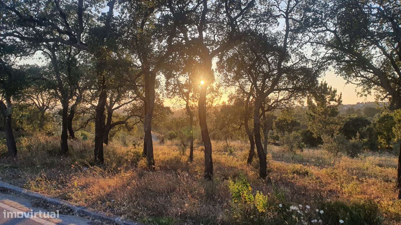 Terreno para Moradia com vista para a Serra D'Aire e Candeeiros-21