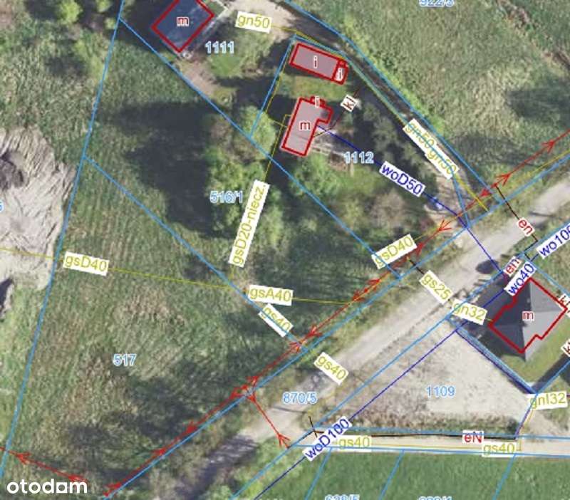 Tylko u Nas - nie przegap!