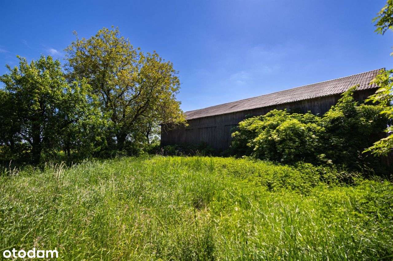 Urokliwe siedlisko z budynkami na działce 61 ar - Pełny obrazek: 4/11