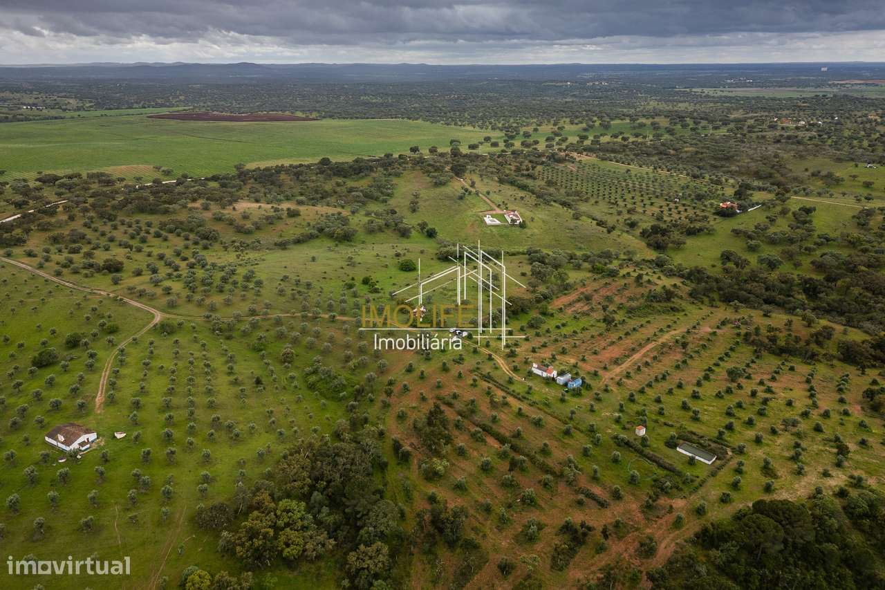MONTINHO DO CHIADO - MALARRANHA - PAVIA-36