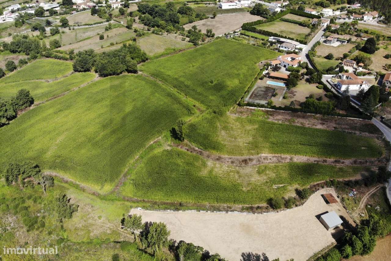 20.590 m2 | Excelente Exposição Solar | Regato e Rego de Rega | Guisan-19