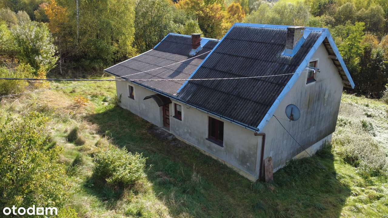 Siedlisko 2 działki 46 ar z domem – Koniuszowa, 12 km od Nowego Sącza - Pełny obrazek: 4/20