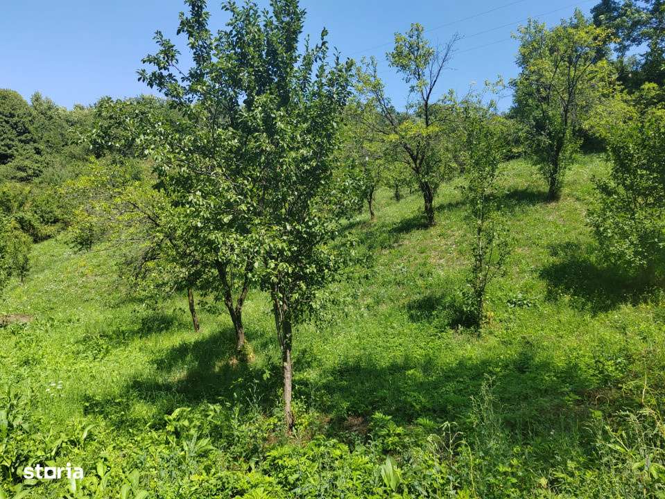 Teren intravilan 1035 mp cu parau, Breaza, Prahova - Imagine principală: 2/6