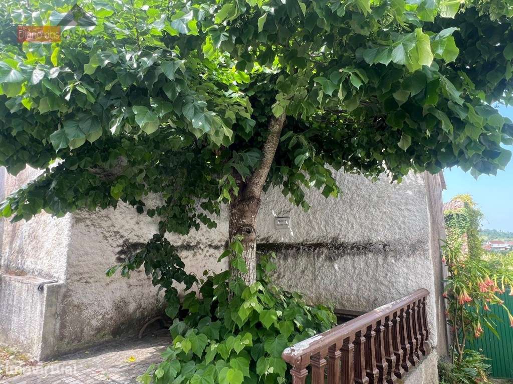 Moradia geminada em lote de 114m2 - Coimbra, Almalaguês - Grande imagem: 5/22