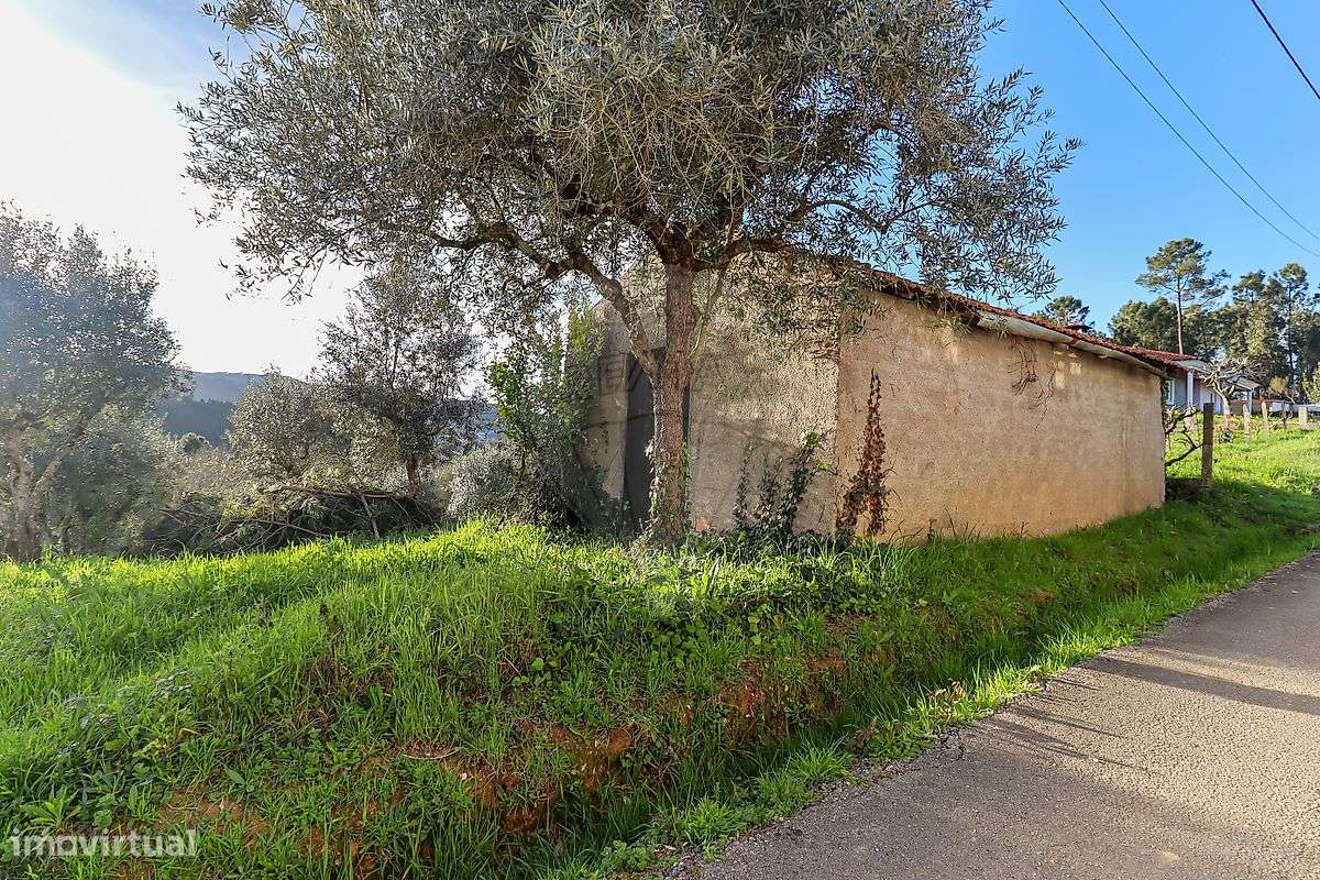 Terreno  para venda - Grande imagem: 5/6