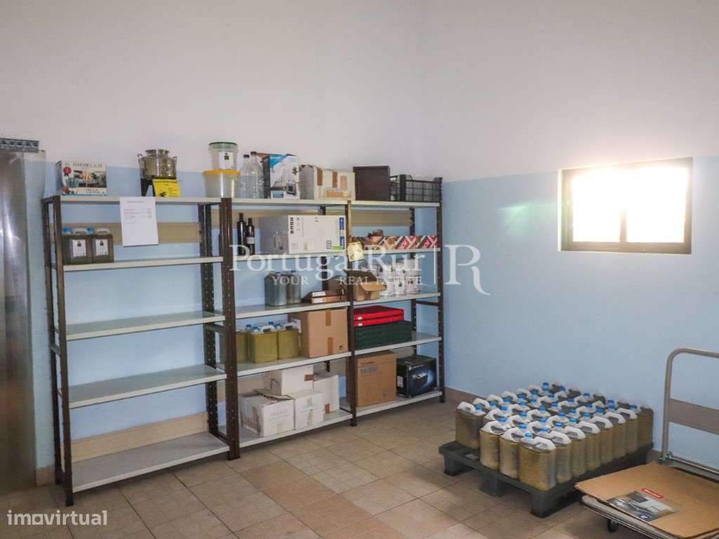 Unidade Industrial de Produção de Azeite & Elevado Potencial Produtivo-20