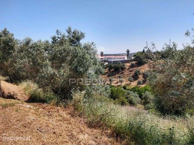 TERRENO PARA CONSTRUÇÃO- AVIS - Grande imagem: 4/7