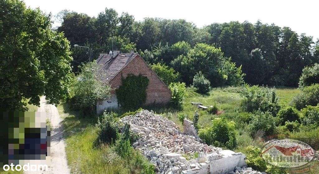 Działka inwestycyjna 5000 m² | Swadzim - Pełny obrazek: 5/7