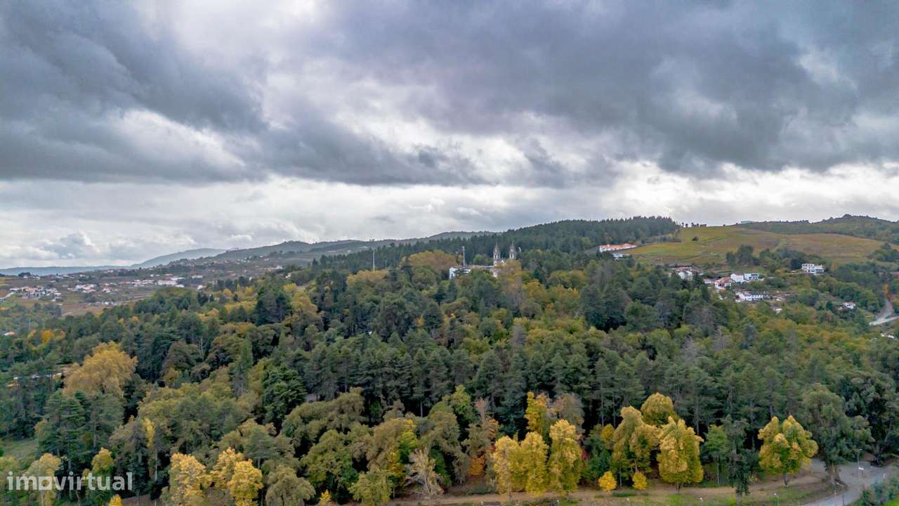 Apartamento T3 Lamego-29