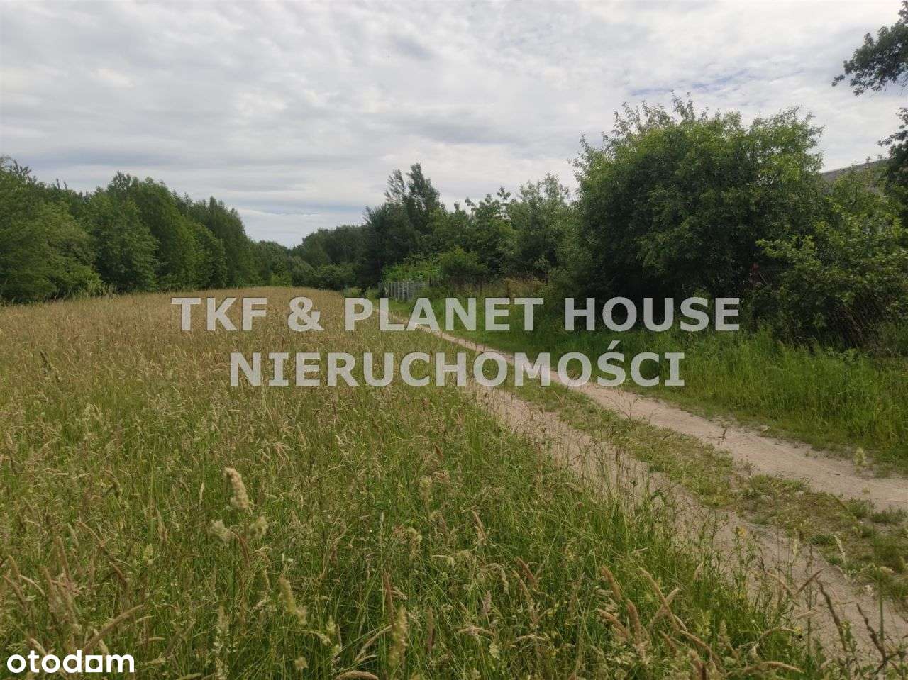 Na sprzedaż działka w Brzustowcu gm. Drzewica - Pełny obrazek: 5/6