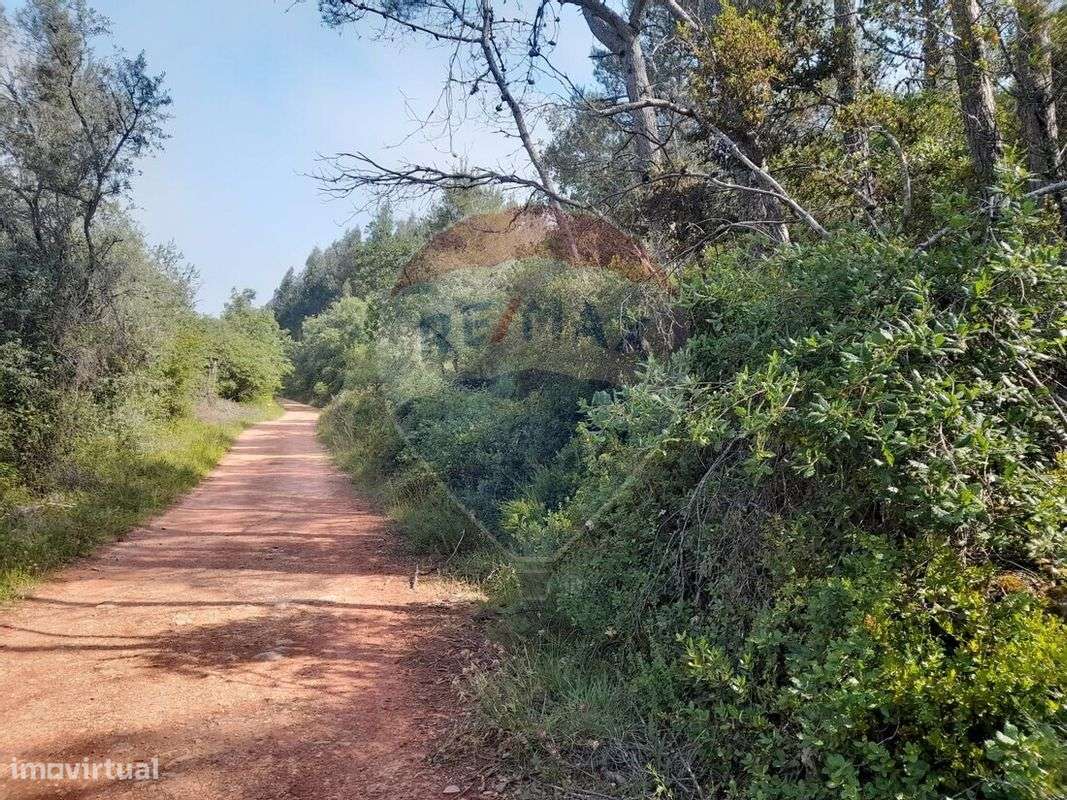 Terreno  para venda - Grande imagem: 5/16