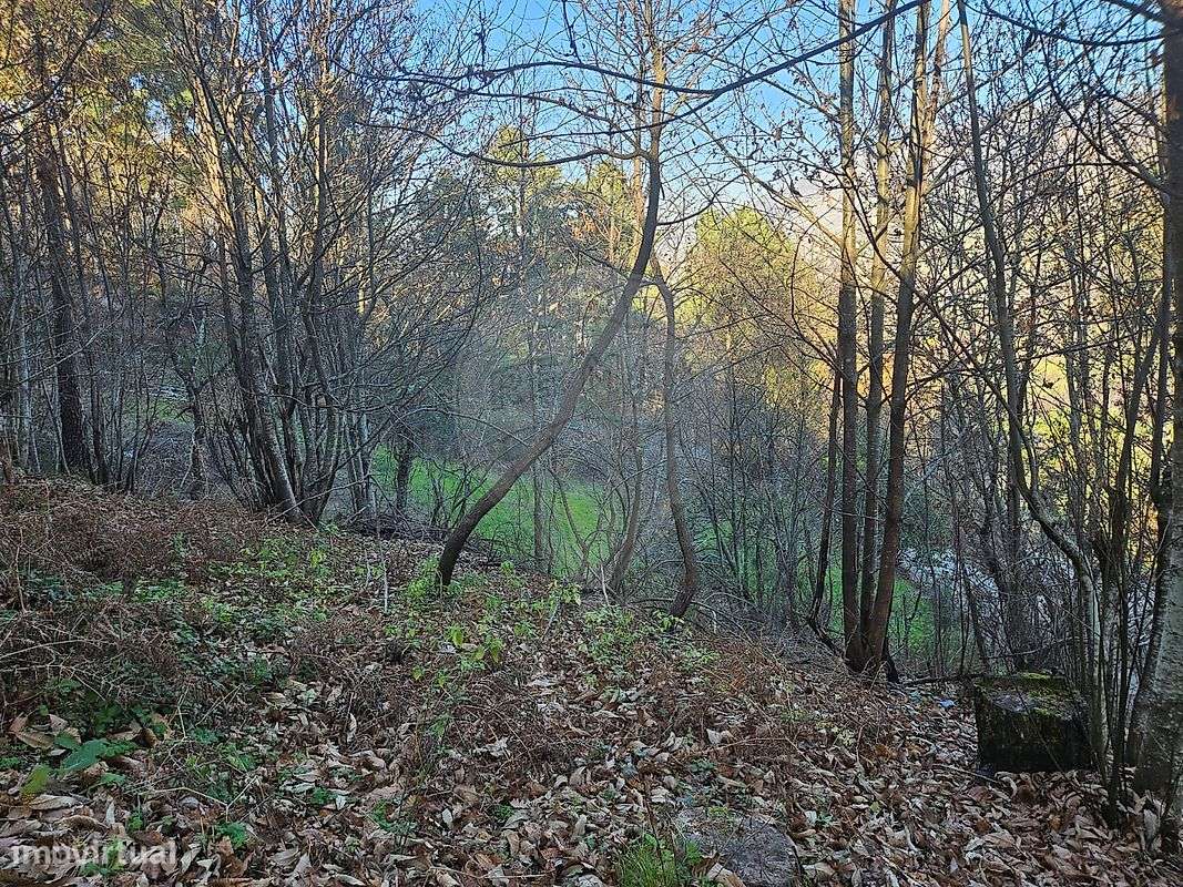 Terreno  para venda - Grande imagem: 2/6