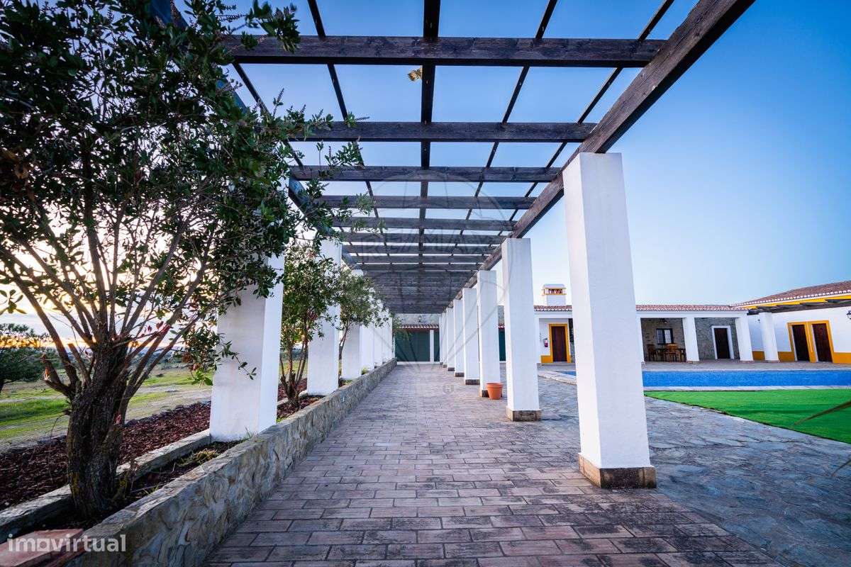 Quinta T11 para venda - Grande imagem: 5/41