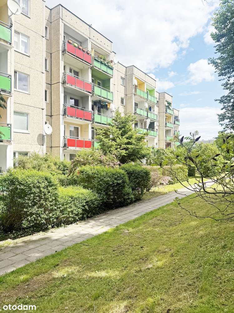 tylko tu  ładne 2/3 pokojowe os. Pomorskie-12