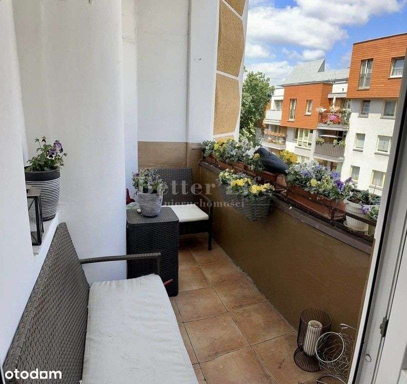 Przestronne 3 pok. mieszkanie w centrum Szczecina-9