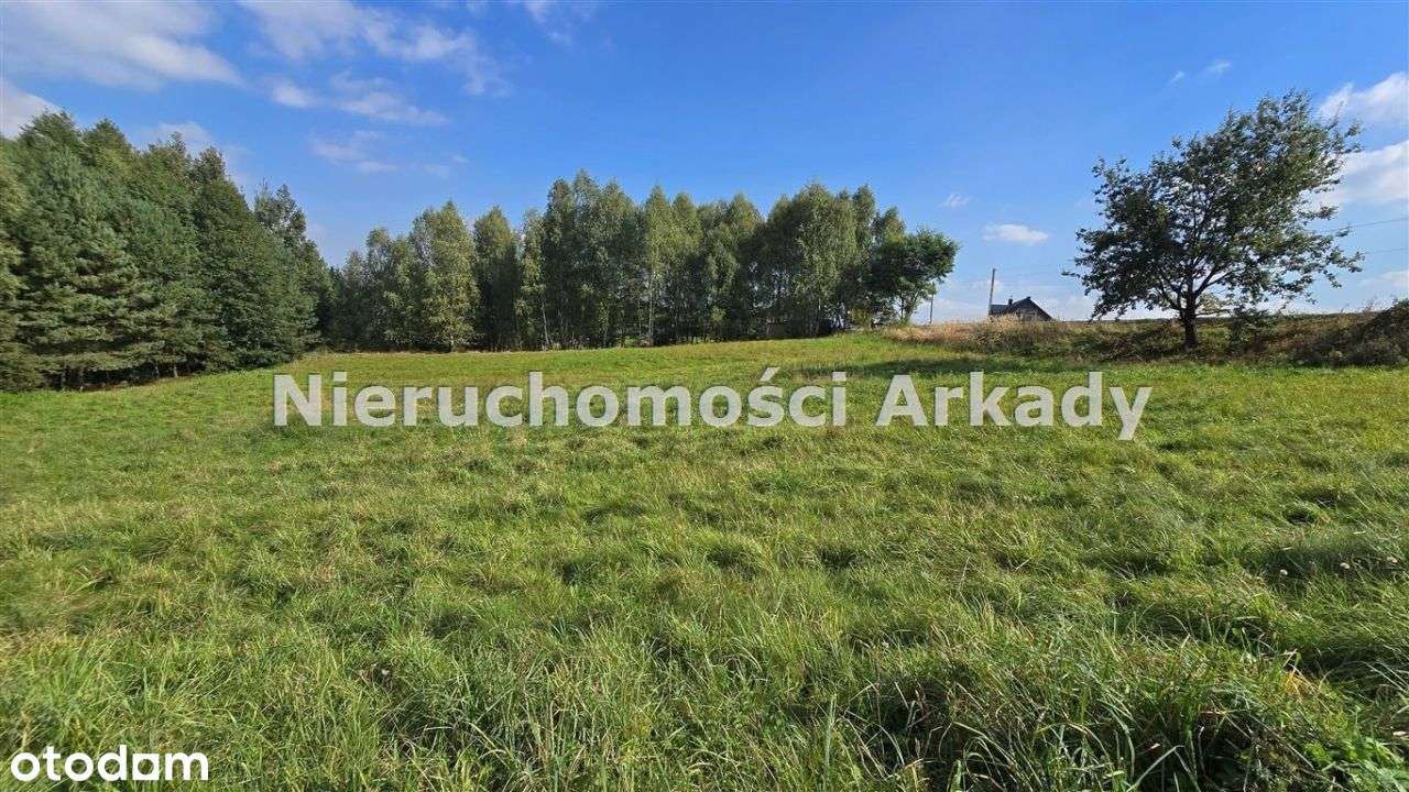 Piękna działka pod lasem-5