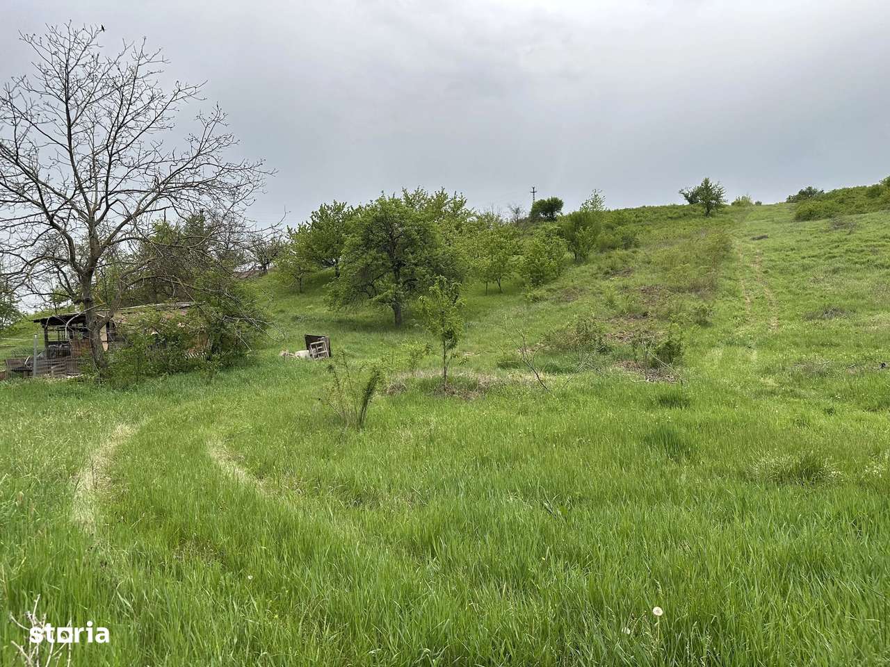 Teren Oradea 1000 mp zona Dealuri - Imagine principală: 2/5