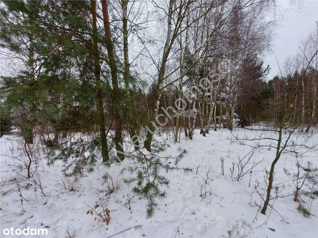 Plan Miejscowy, Wszystkie Media, Asfalt.-1