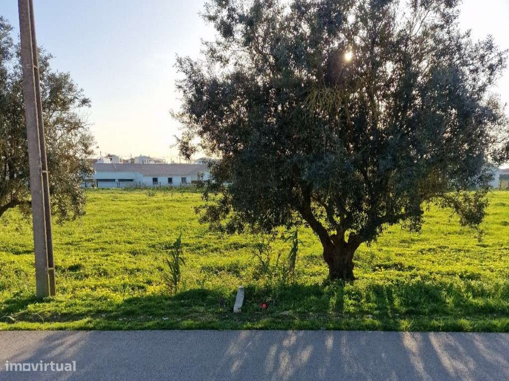 Terreno de construção livre para moradia(s) térrea(s) e isolada(s) - Grande imagem: 4/10