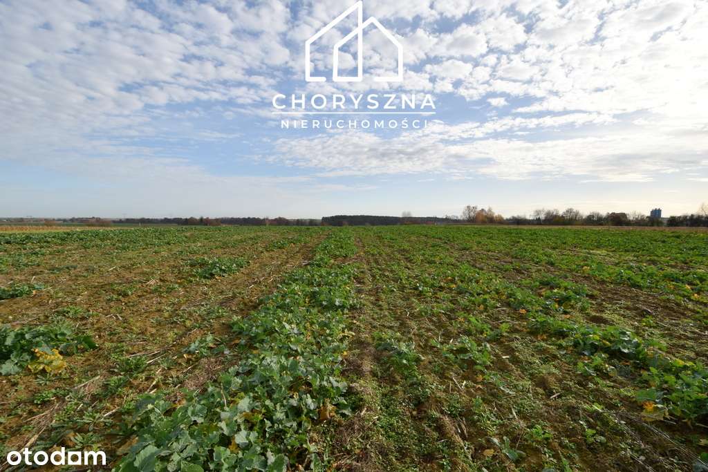 Namysłów - Stare Miasto - działka budowlana-5