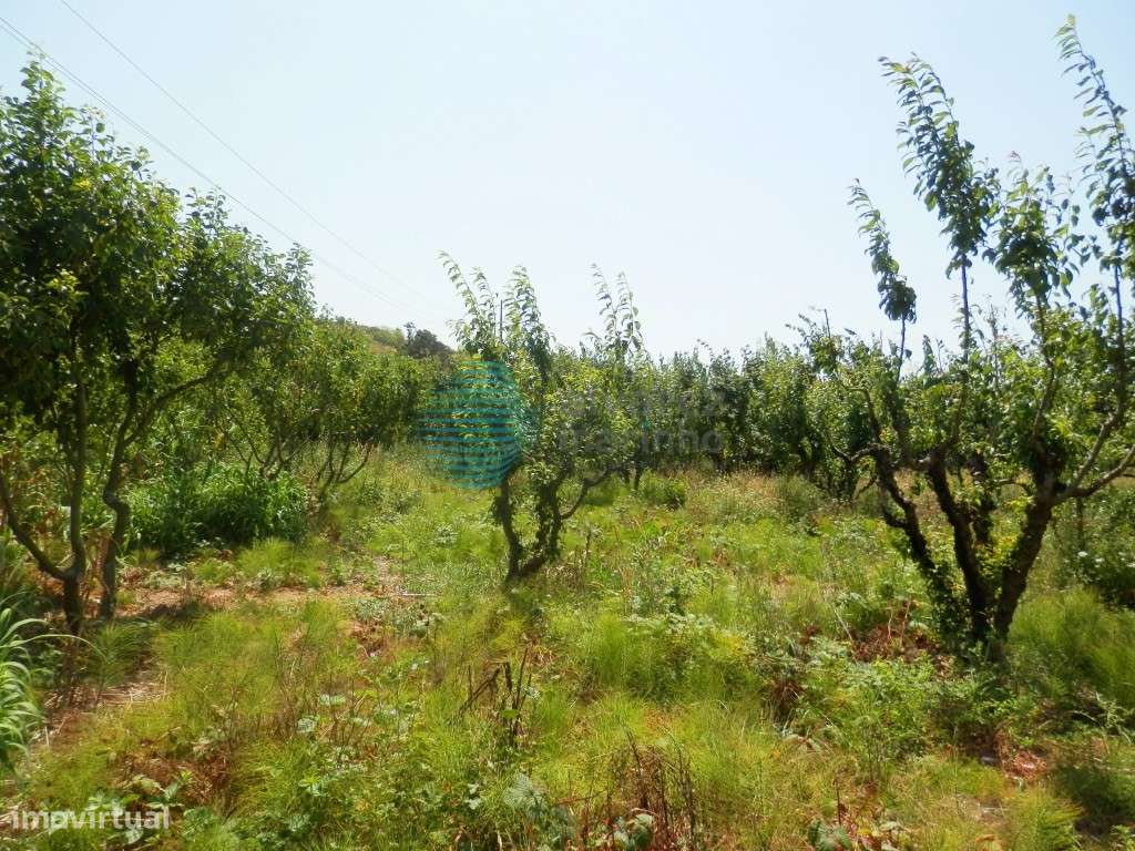 Terreno com 7.980 m2 de área, Turcifal - Grande imagem: 5/12