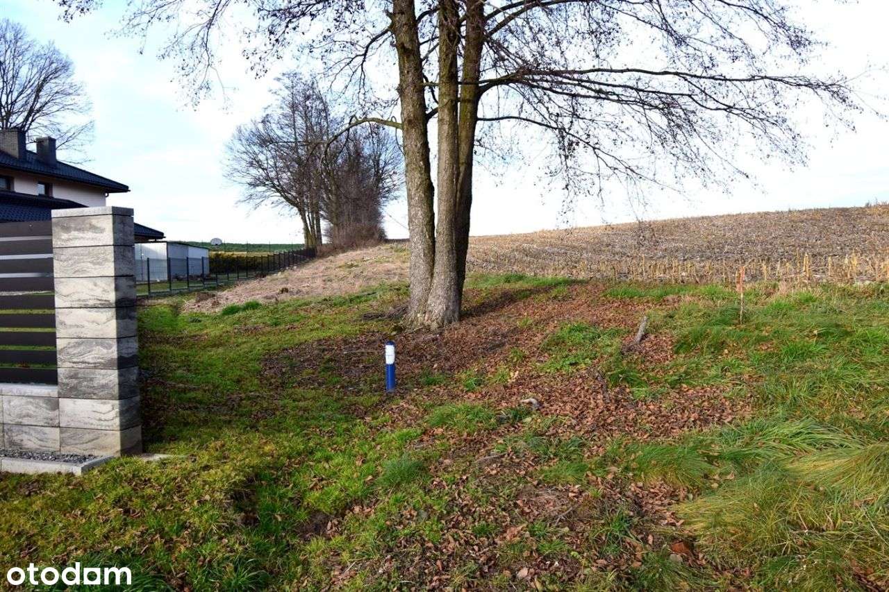 Działka budowlana w Studzionce 875 m2. - Pełny obrazek: 2/6