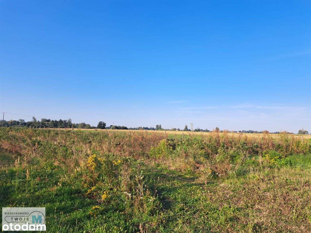 Działka rolno-bud. w terenach upraw sadowniczych! - Pełny obrazek: 3/4