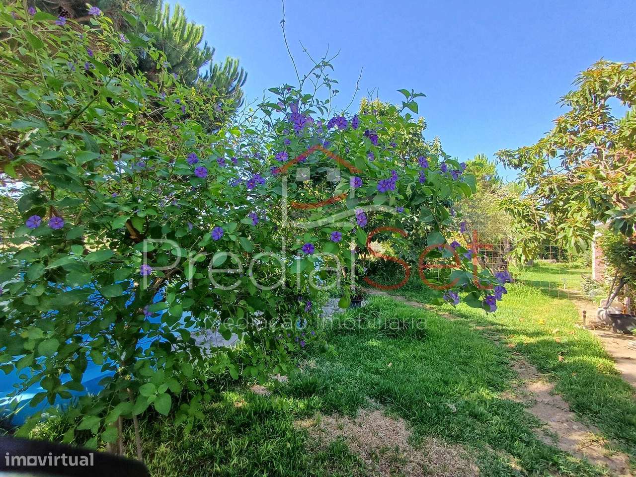 Moradia T4 em Quintinha - Palmela - Grande imagem: 5/60