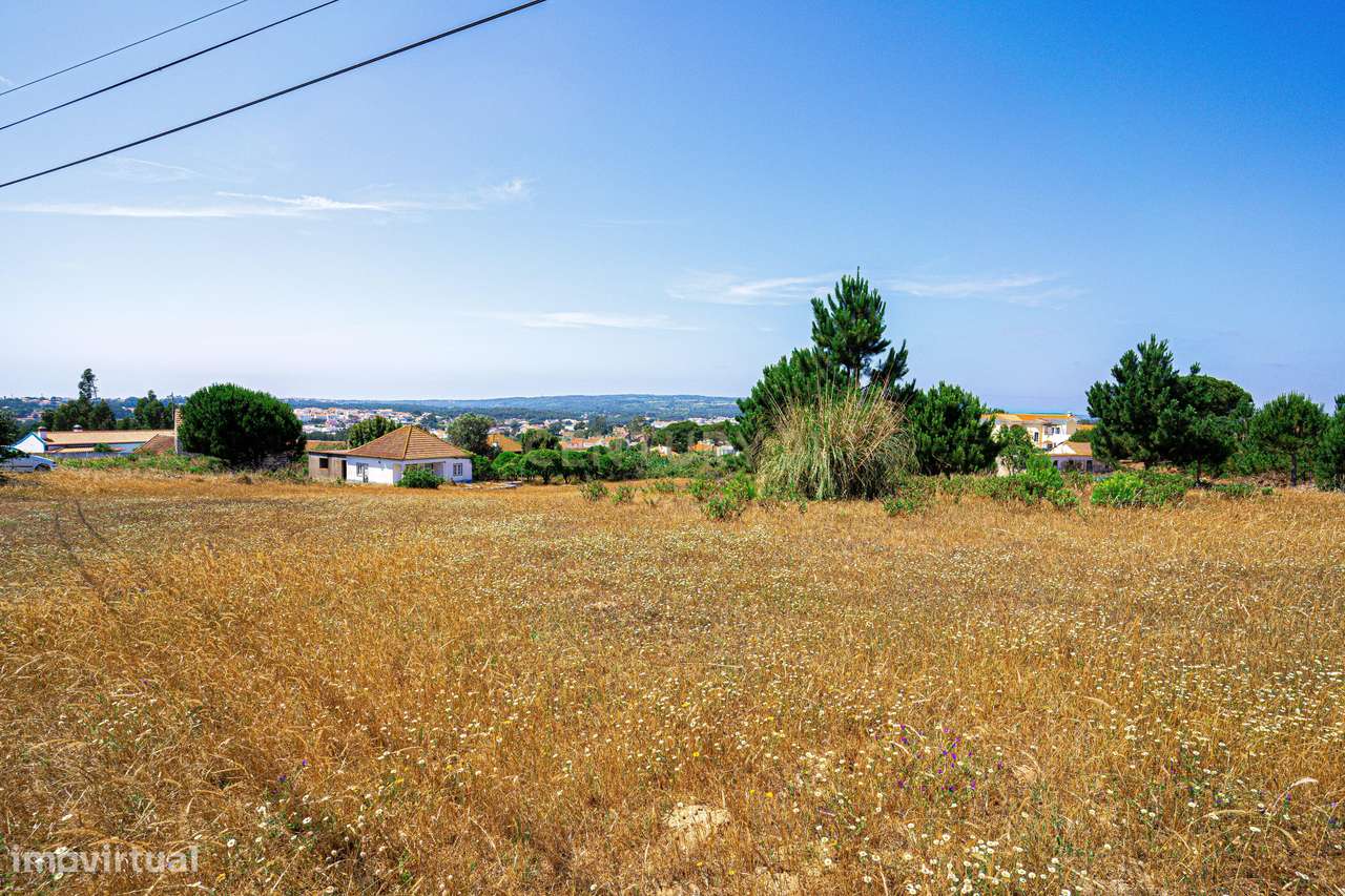 Terreno 4 910m2 | Nadadouro - Grande imagem: 4/9