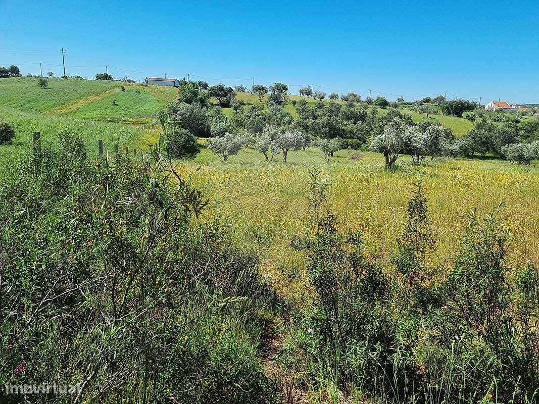 Terreno  para venda - Grande imagem: 3/3