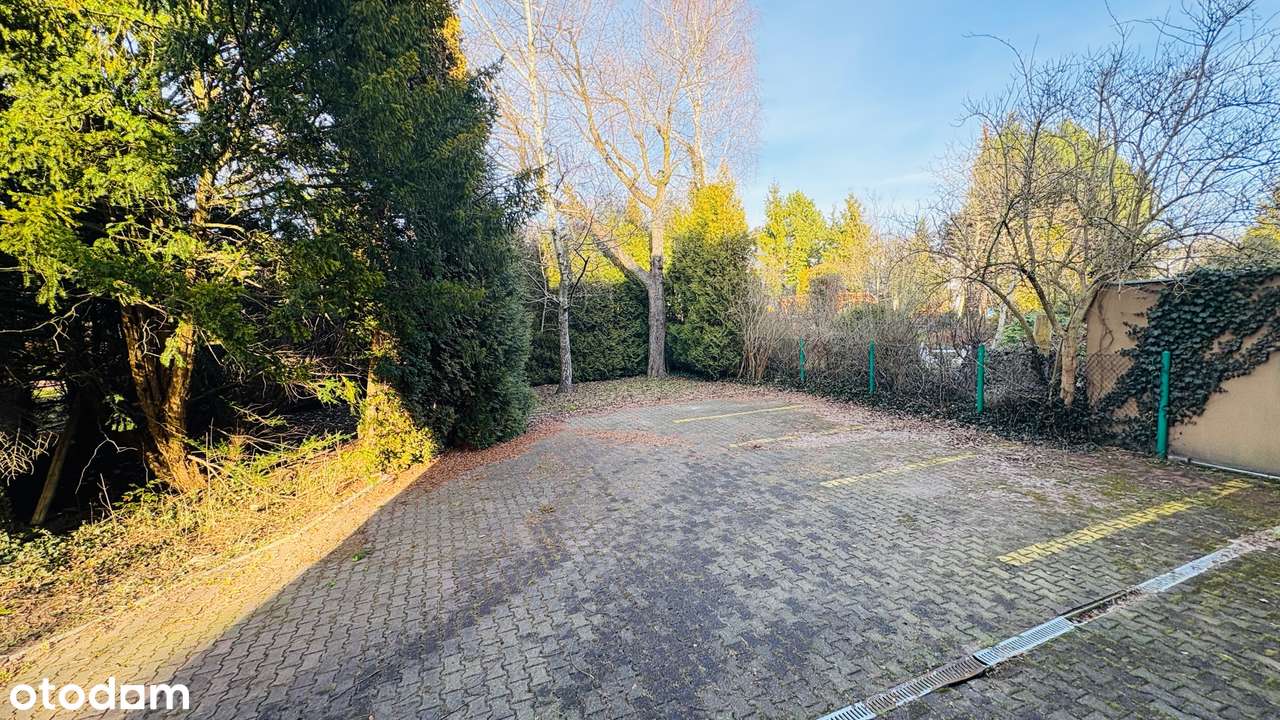 Fitelberga - Pełny obrazek: 3/15