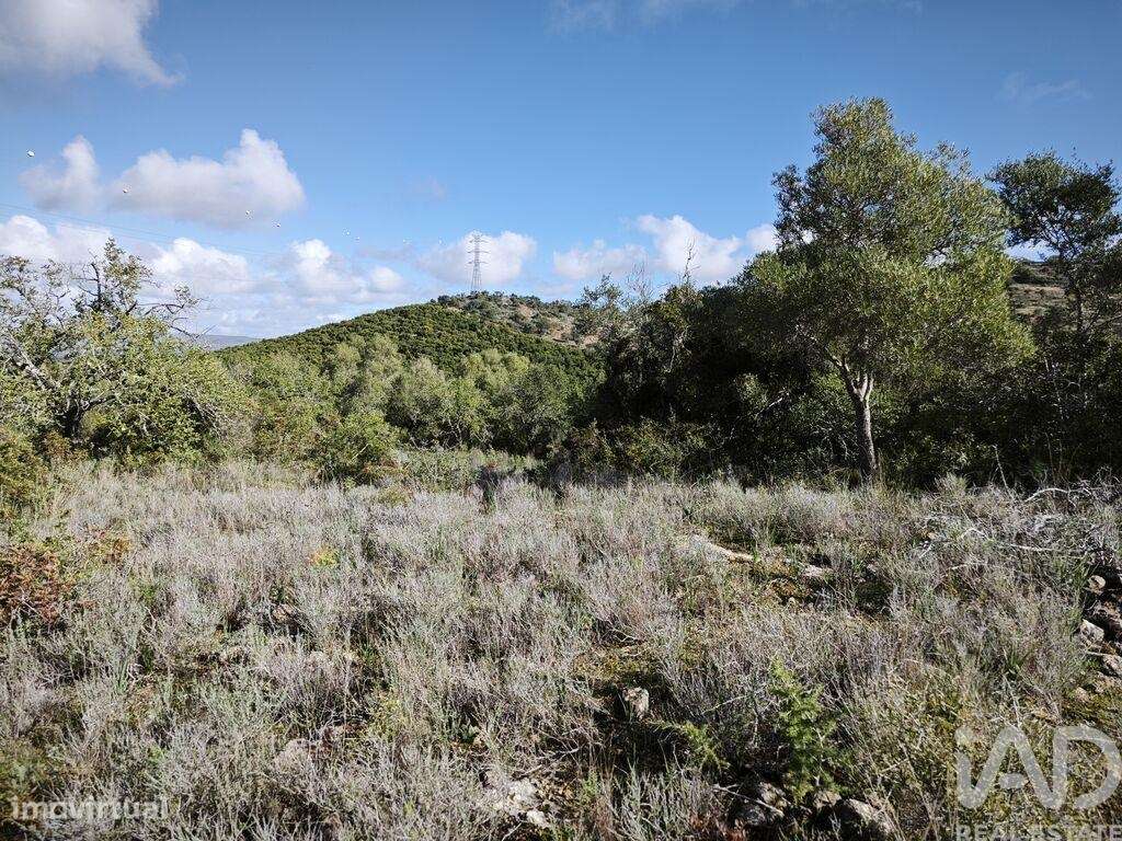 Terreno para construção em Algoz e Tunes - Grande imagem: 5/8
