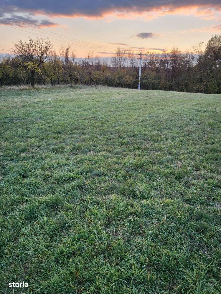 Vand parcele teren intravilan,Mosoaia, strada principala, 7 km Pitesti - Imagine principală: 5/9