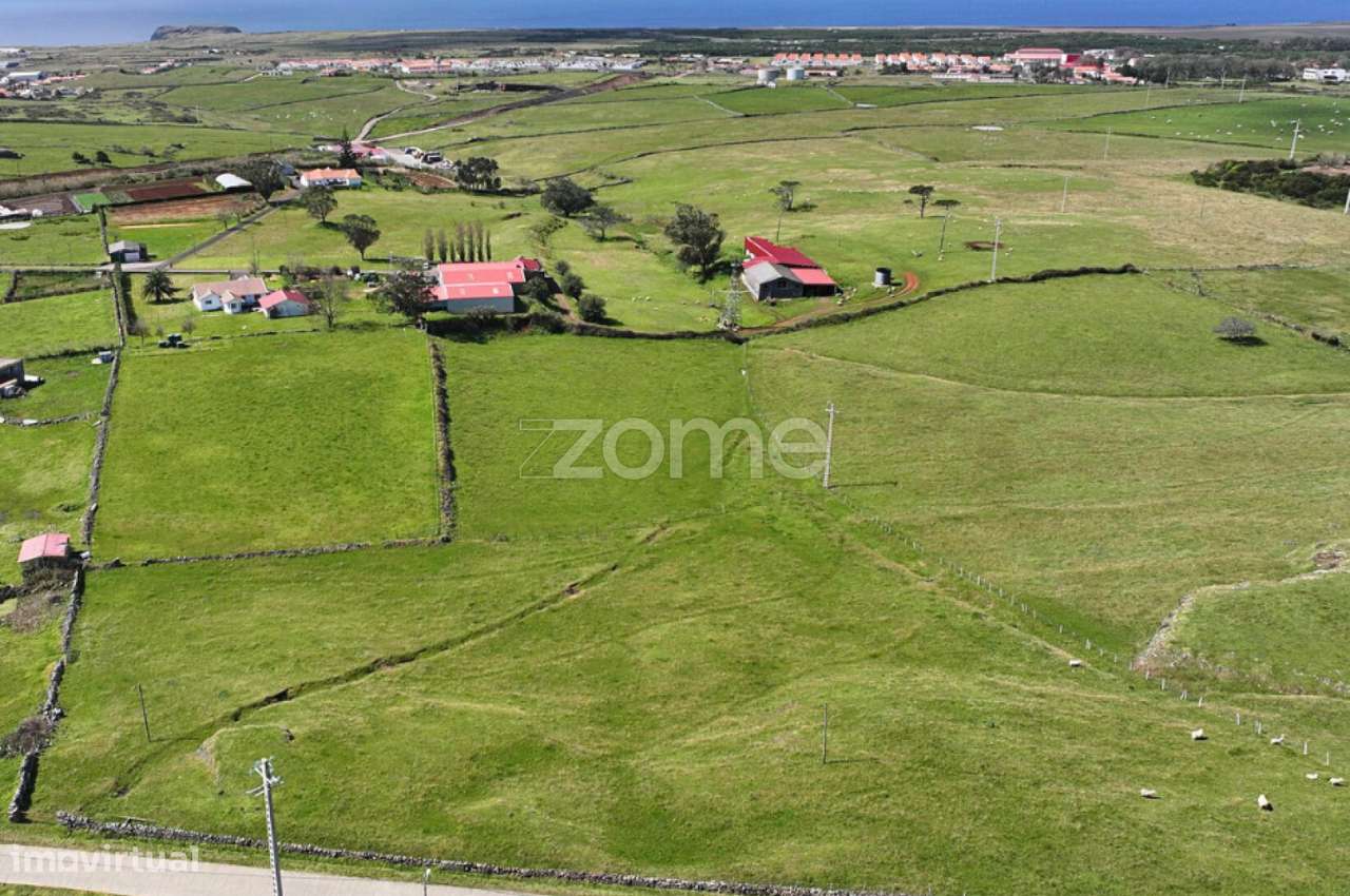 Terreno com 12.000 m² – Zona Premium de Flor da Rosa, Vila do Porto-5