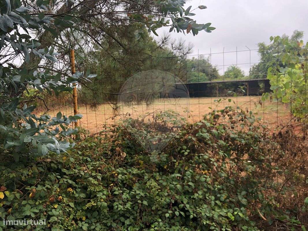 Terreno  para venda - Grande imagem: 4/4